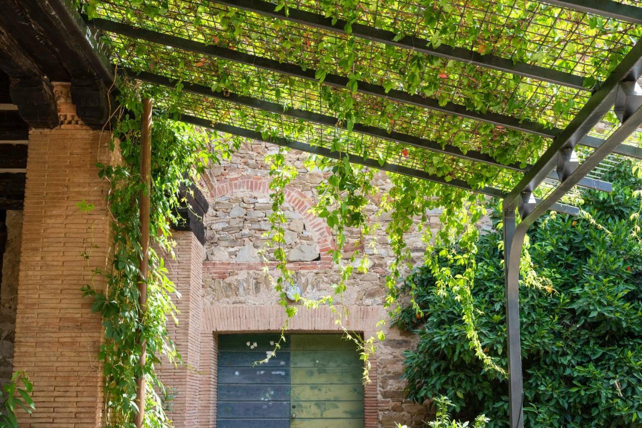 Fattoria Pian Di Rocca Bed & Breakfast Castiglione della Pescaia Dış mekan fotoğraf